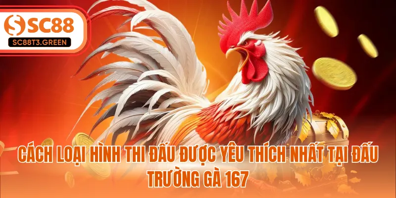 Cách loại hình thi đấu được yêu thích nhất tại đấu trường gà 167