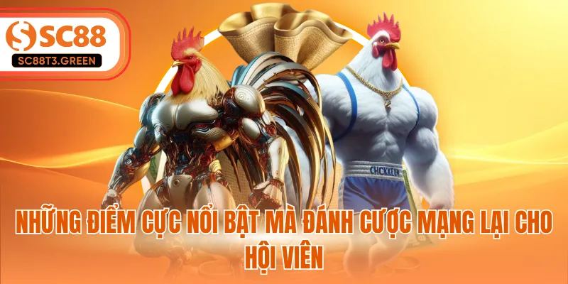 Những điểm cực nổi bật mà đánh cược mạng lại cho hội viên