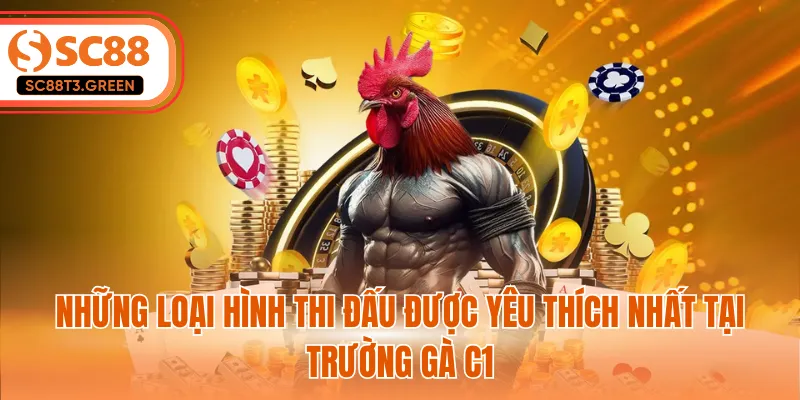 Những loại hình thi đấu được yêu thích nhất tại trường gà c1