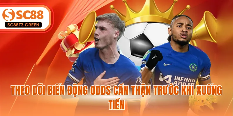 Theo dõi biến động odds cẩn thận trước khi xuống tiền